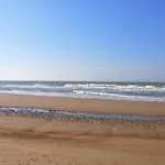 Cozy 2-Room Apartment In The Center Of Ostend